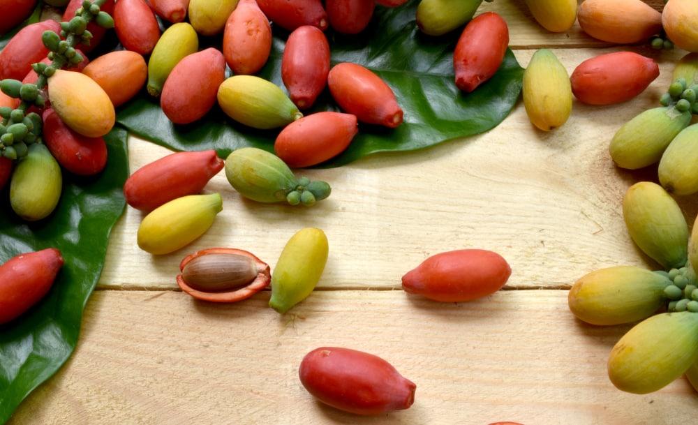 7 Manfaat Kulit Melinjo untuk Kesehatan