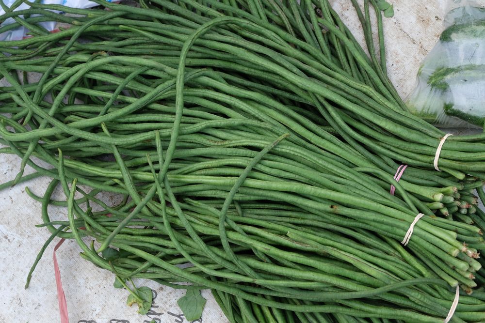 Mengulik 8 Manfaat Penting Kacang Panjang untuk Kesehatan