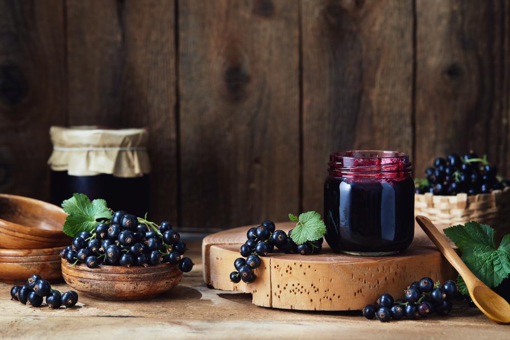 manfaat-blackcurrant