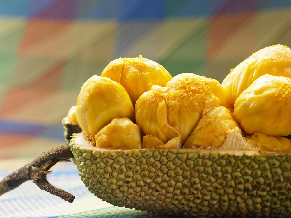 5 Manfaat dan Kandungan Gizi di Dalam Cempedak untuk Kesehatan