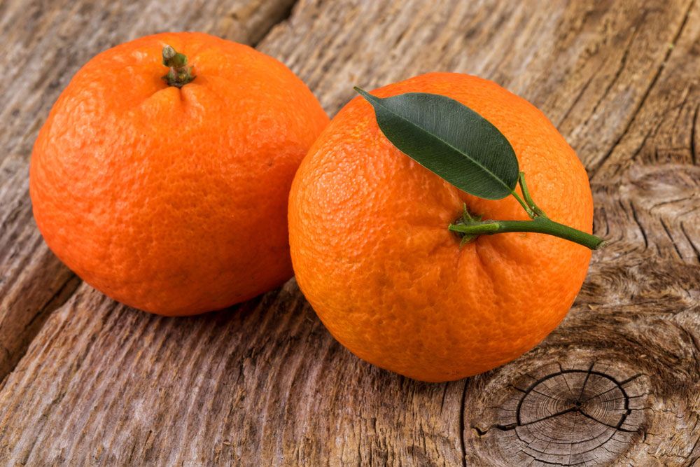 manfaat-jeruk-mandarin
