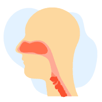 Gangguan Tenggorokan