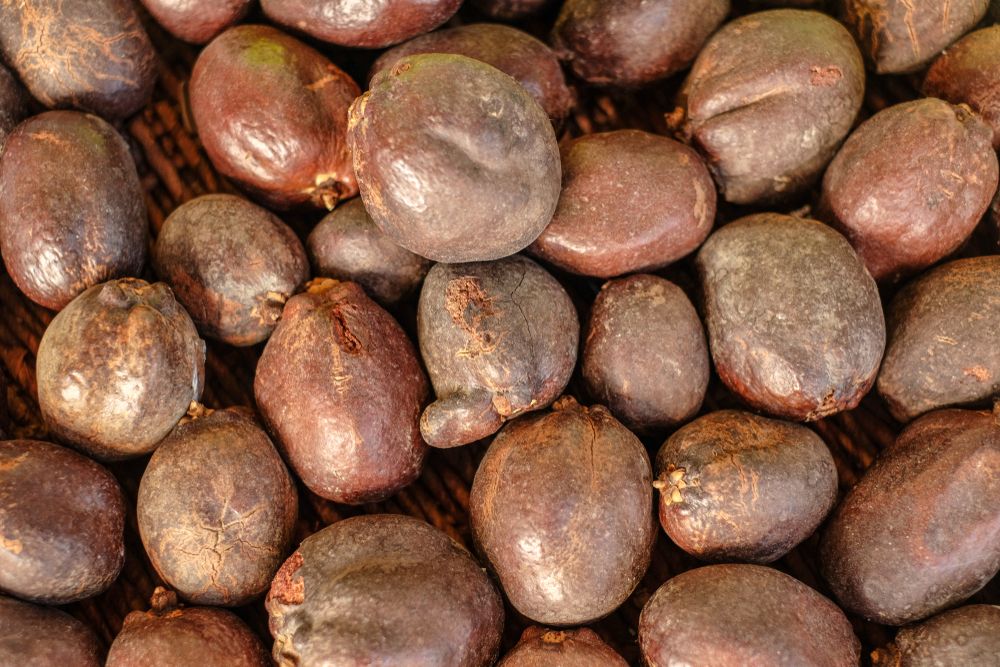 6 Manfaat Kesehatan dari Buah Zuriat, Termasuk untuk Ibu Hamil