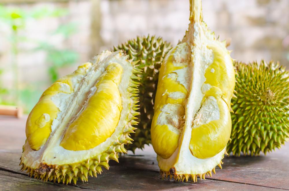 manfaat-durian