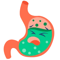 Infeksi Melalui Makanan