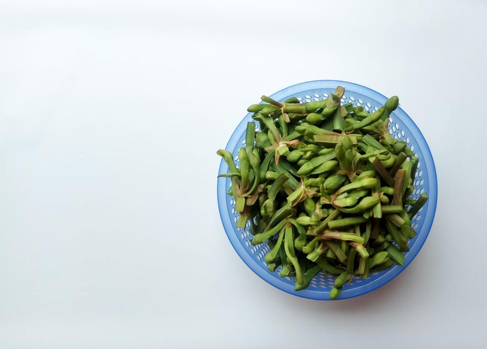 manfaat-genjer