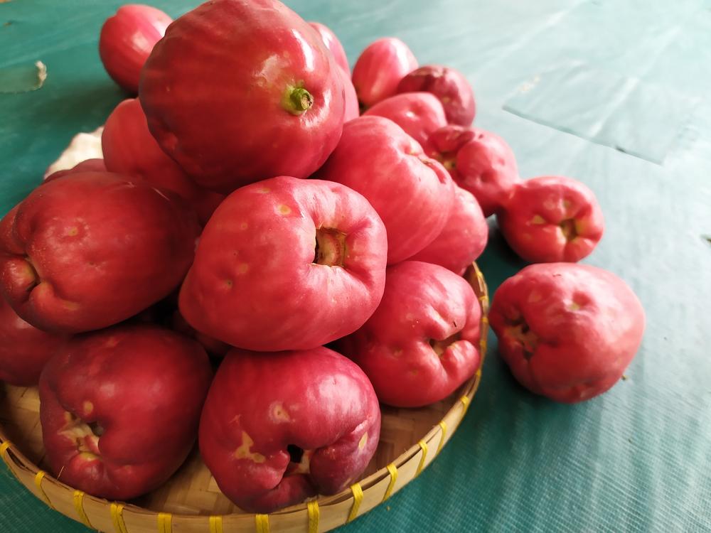 Ini 7 Manfaat Jambu Jamaika untuk Tubuh Anda