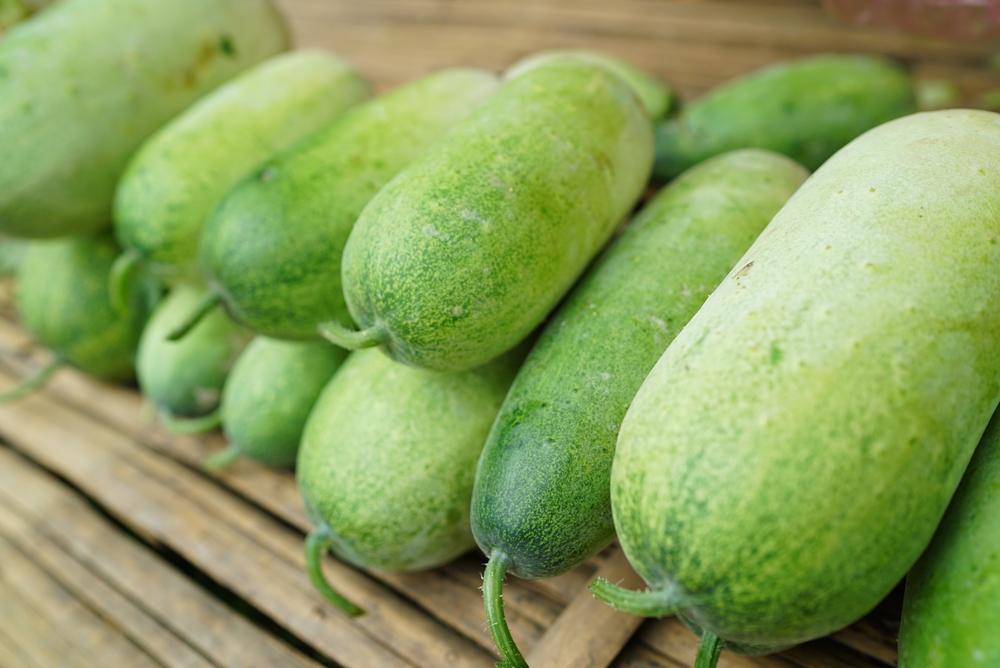 manfaat-buah-kundur