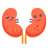 Ginjal