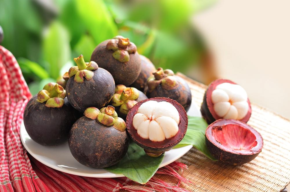 manfaat-buah-manggis