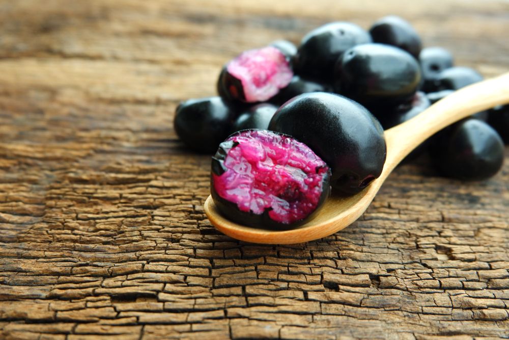manfaat-buah-duwet