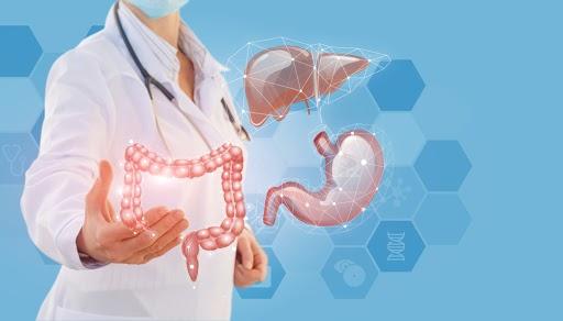 7 Cara Mudah Memelihara Organ Pencernaan Anda