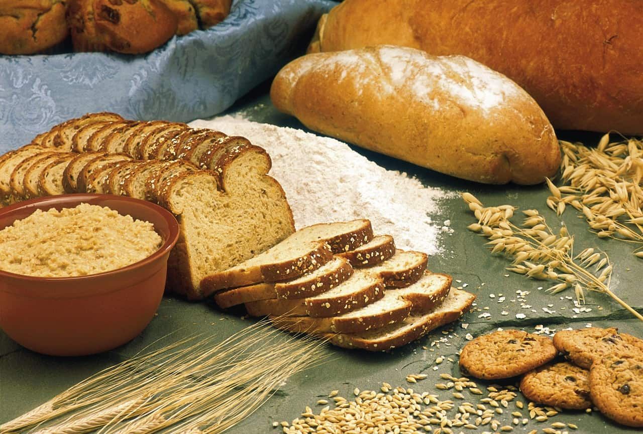 roti-gandum-untuk-diet