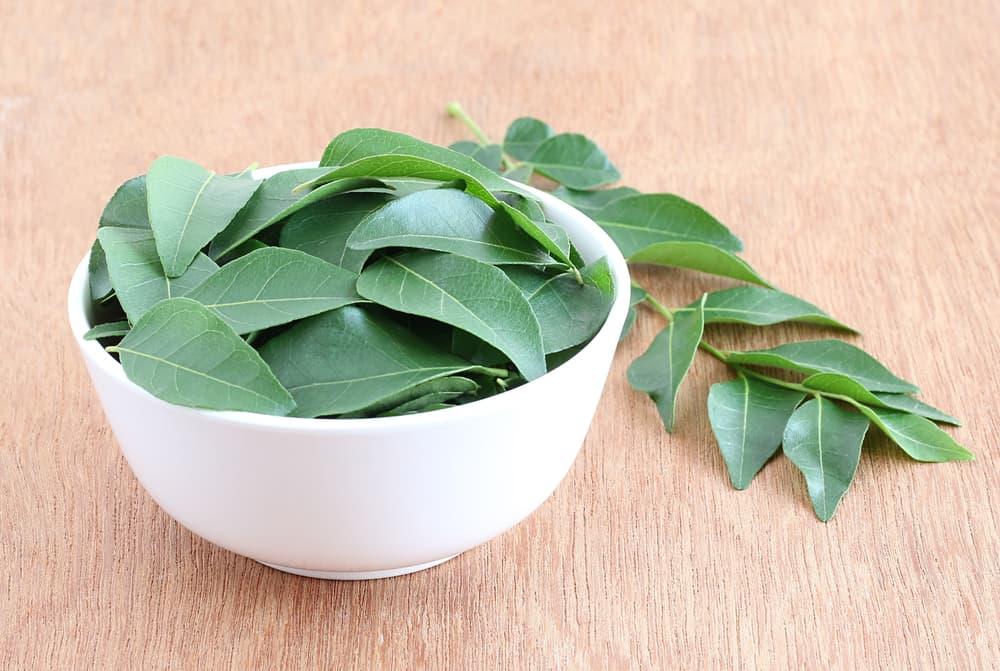Manfaat Daun Kari yang Penting untuk Kesehatan Tubuh