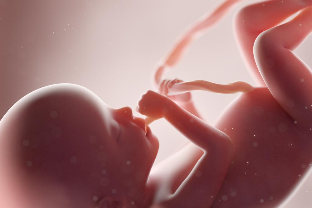 Bagaimana Reaksi Janin Saat Ibu Berhubungan Badan?