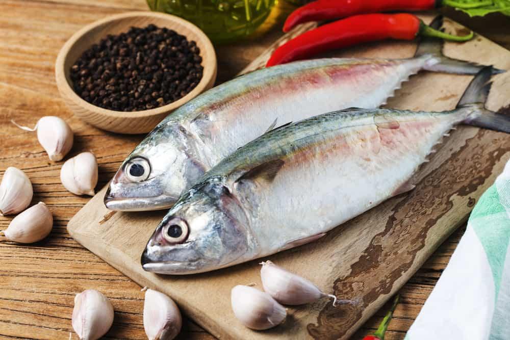 manfaat-ikan-kembung