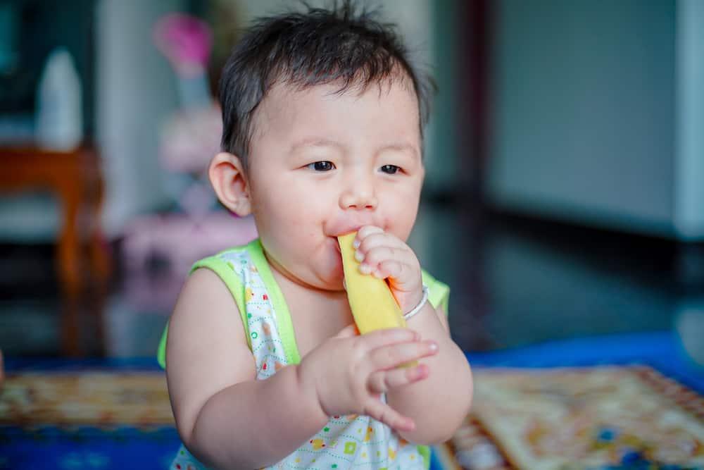 13 Menu Finger Food yang Bisa Ibu Berikan untuk Si Kecil