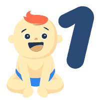 Bayi Satu Tahun Pertama