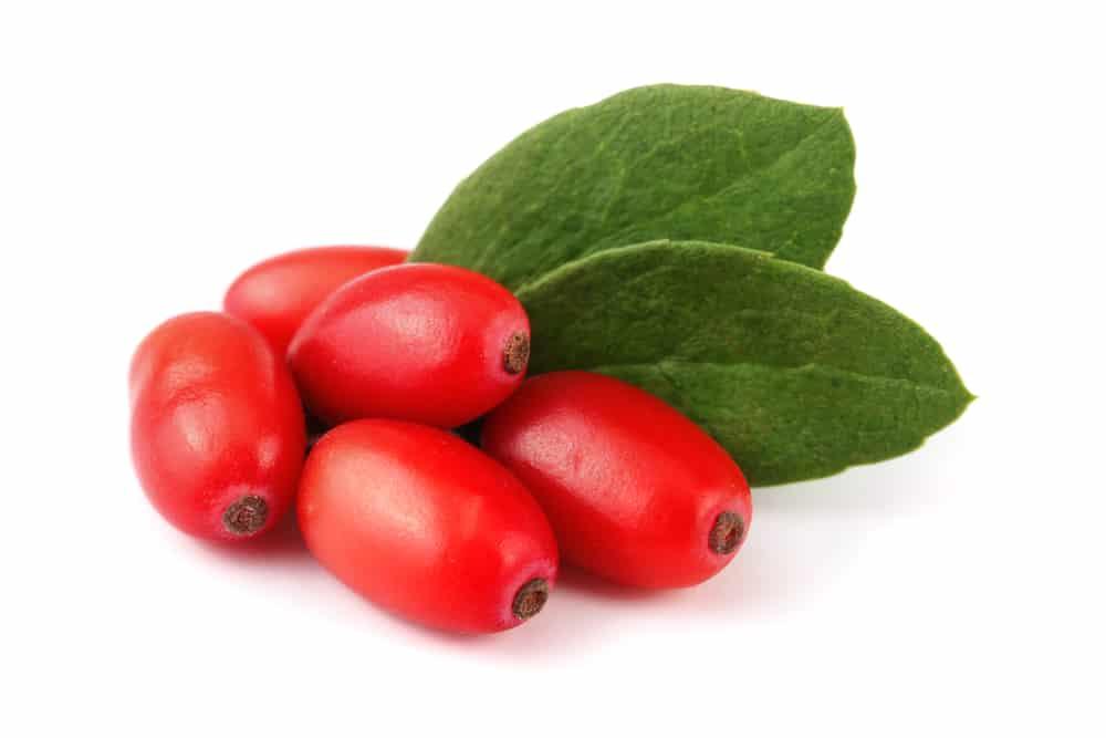 barberry