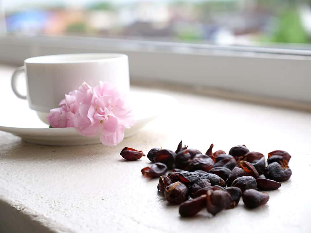 cascara-adalah-herbal