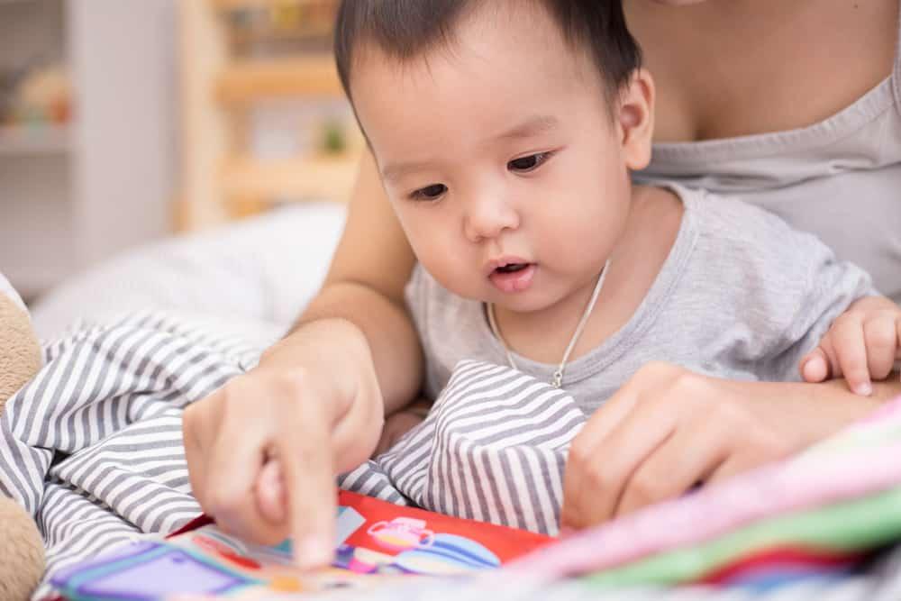 Perkembangan Bayi 47 Minggu atau 11 Bulan 3 Minggu