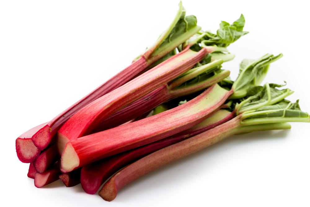 rhubarb-adalah