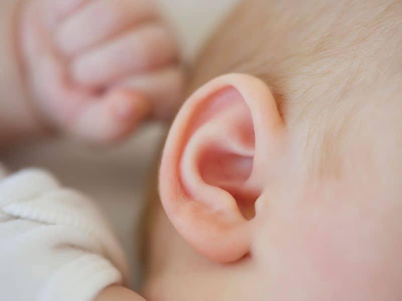 otitis-media