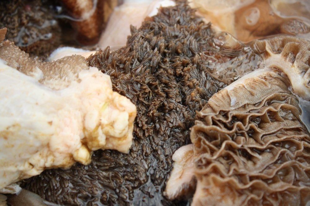 Menguak Manfaat dan Risiko Kesehatan Makan Jeroan