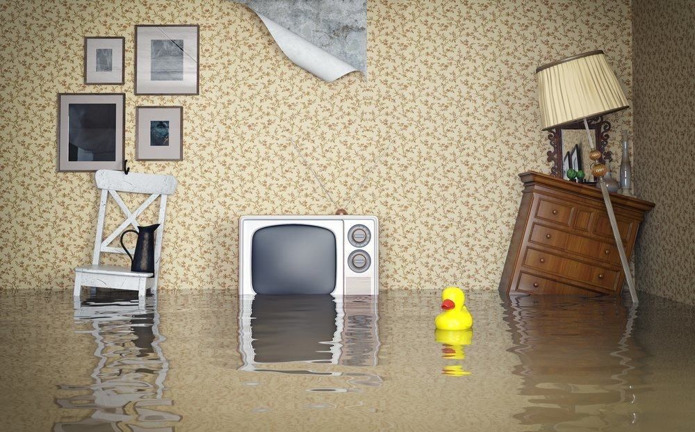 Cara Menghadapi Banjir yang Rentan dengan Berbagai Penyakit