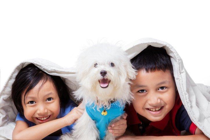 Terapi Anak Autisme dengan Hewan Peliharaan
