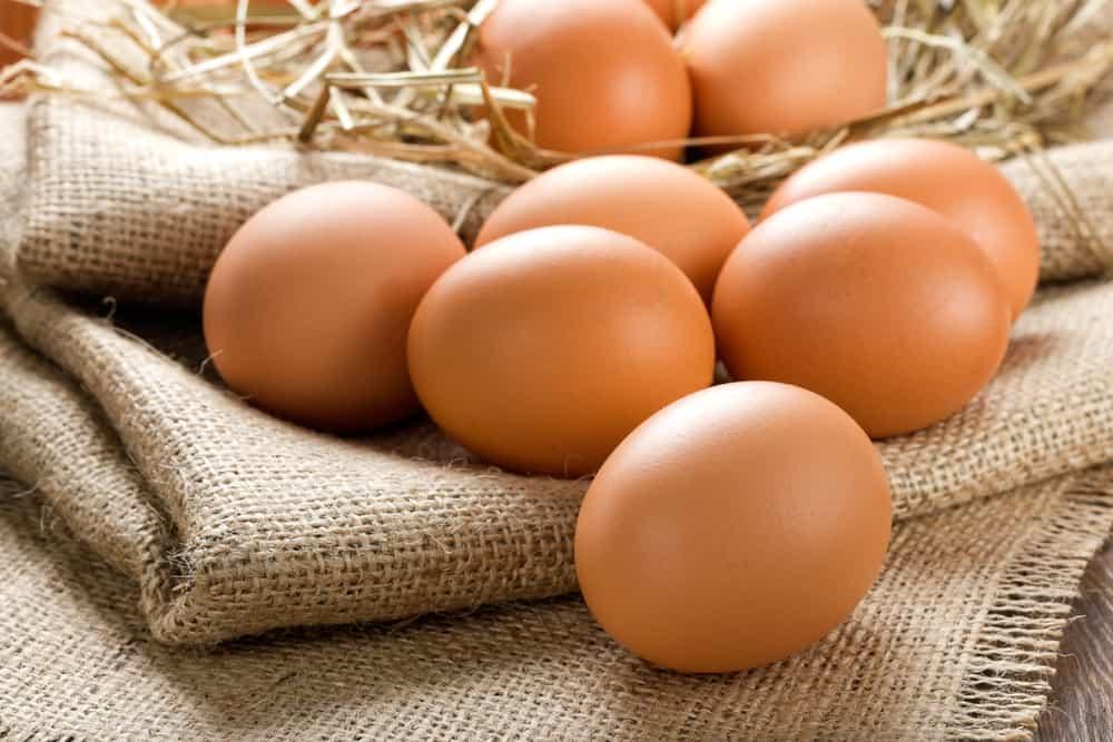 7 Manfaat Makan Telur bagi Kesehatan