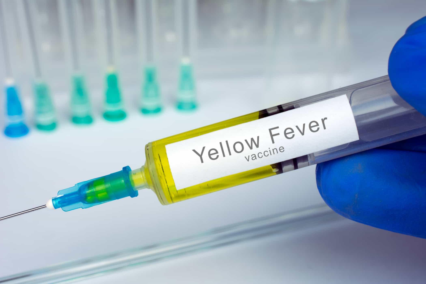 Yellow Fever (Demam Kuning)