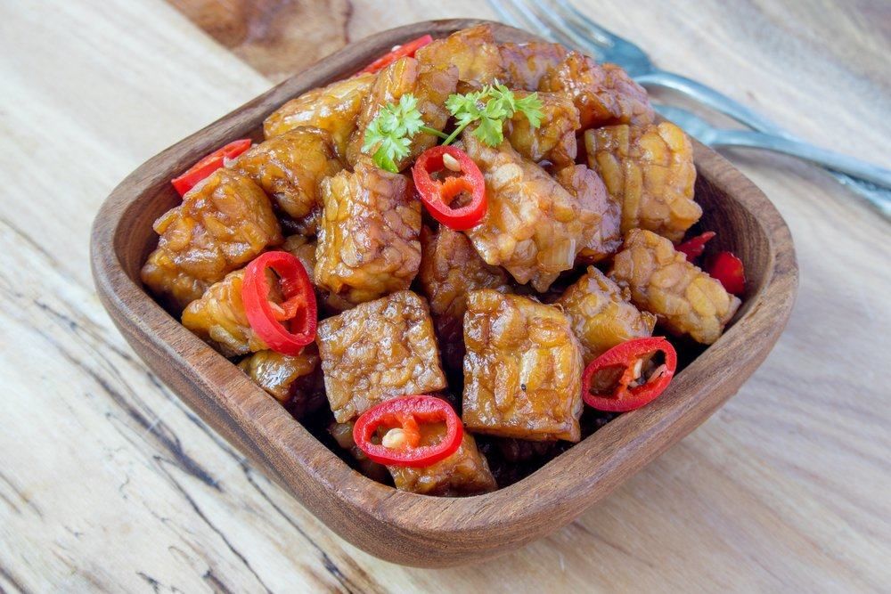 manfaat-dan-asal-bakteri-baik-dalam-usus