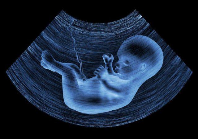 12 Fakta Menakjubkan Perkembangan Janin Dalam Kandungan