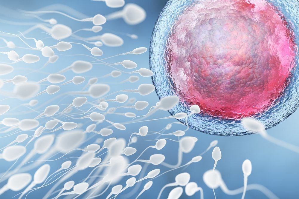 fakta-tentang-sperma-rasa-sperma