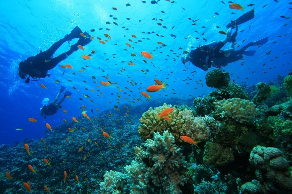 7-risiko-kesehatan-menyelam-di-laut