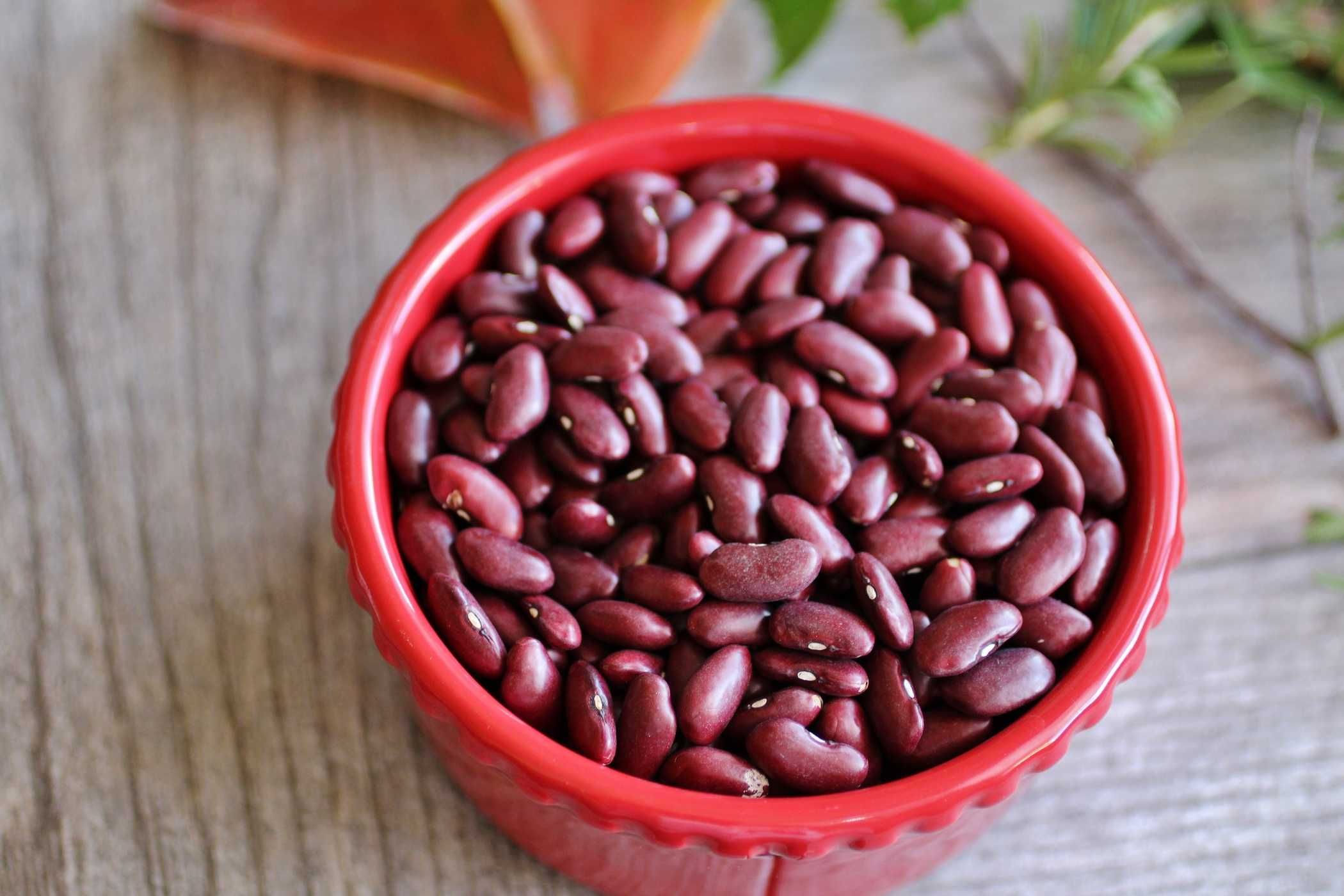 manfaat-kacang-merah
