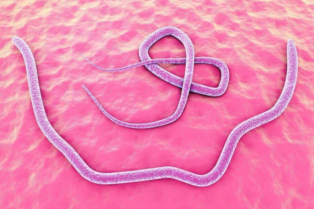 schistosomiasis