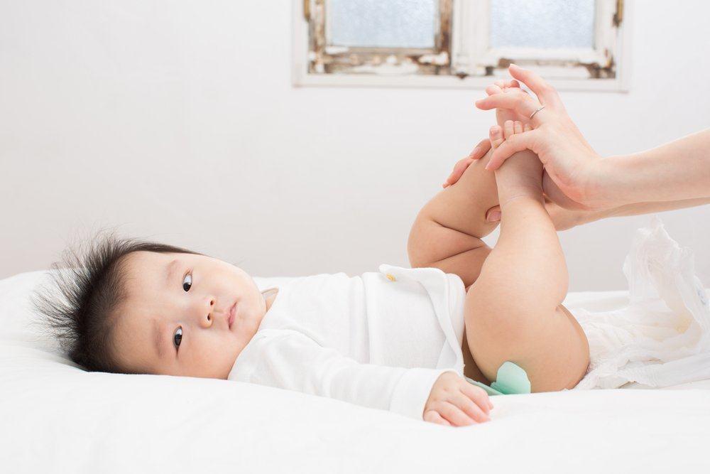 mengenal-pup-bayi