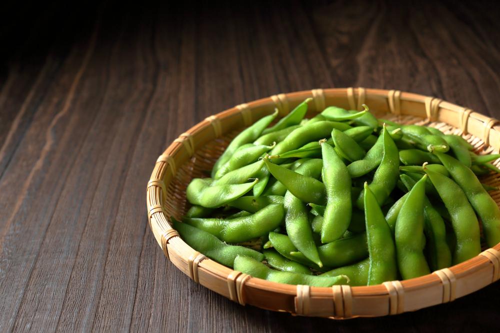 makanan-pengganti-daging