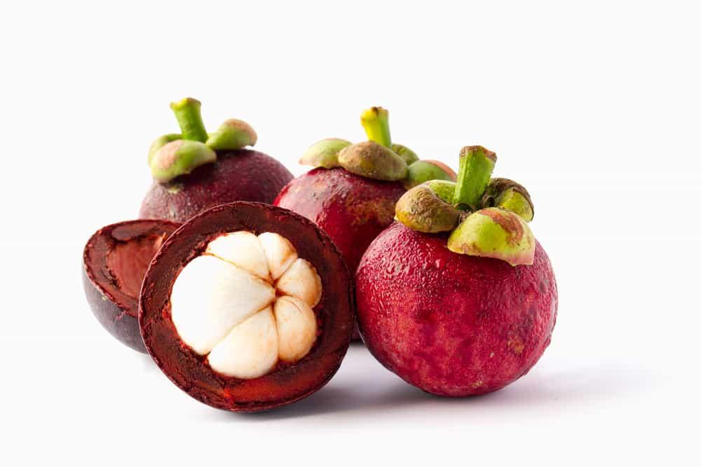 manfaat-kulit-manggis