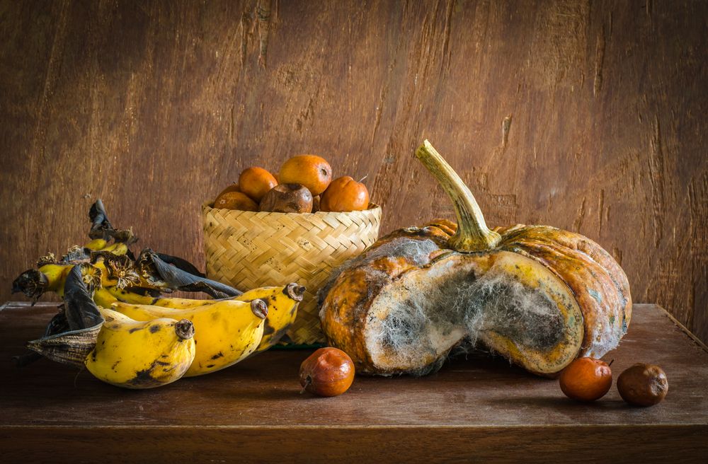 4 Kondisi Penyebab Makanan Cepat Basi
