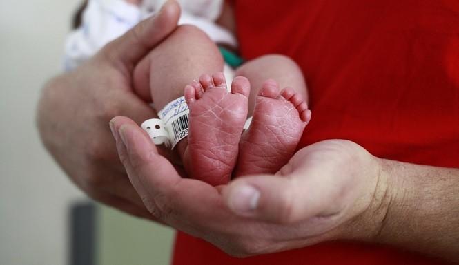 apa-itu-lotus-birth-adalah-tali-pusat