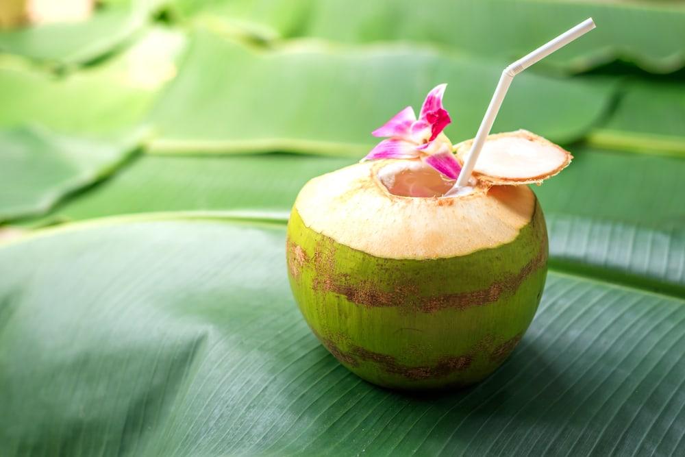 Panduan Menjalankan Diet Kelapa untuk Menurunkan Berat Badan