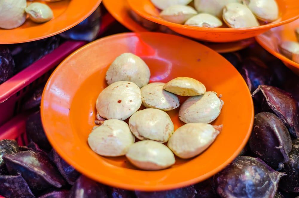 manfaat-jengkol-untuk-kesehatan
