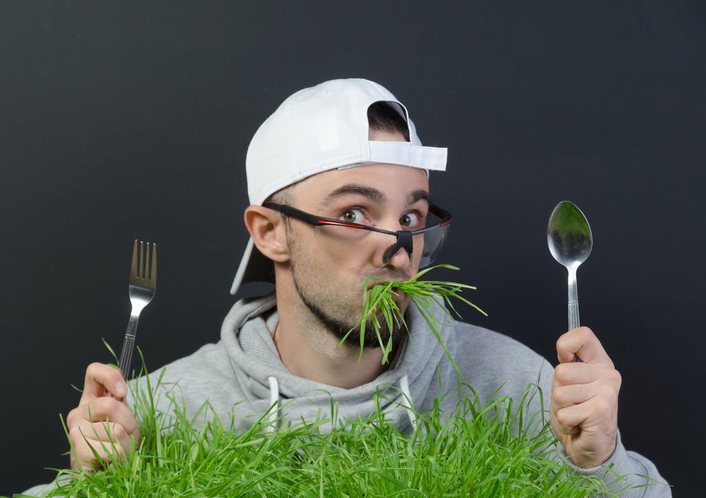 bolehkah-manusia-makan-rumput