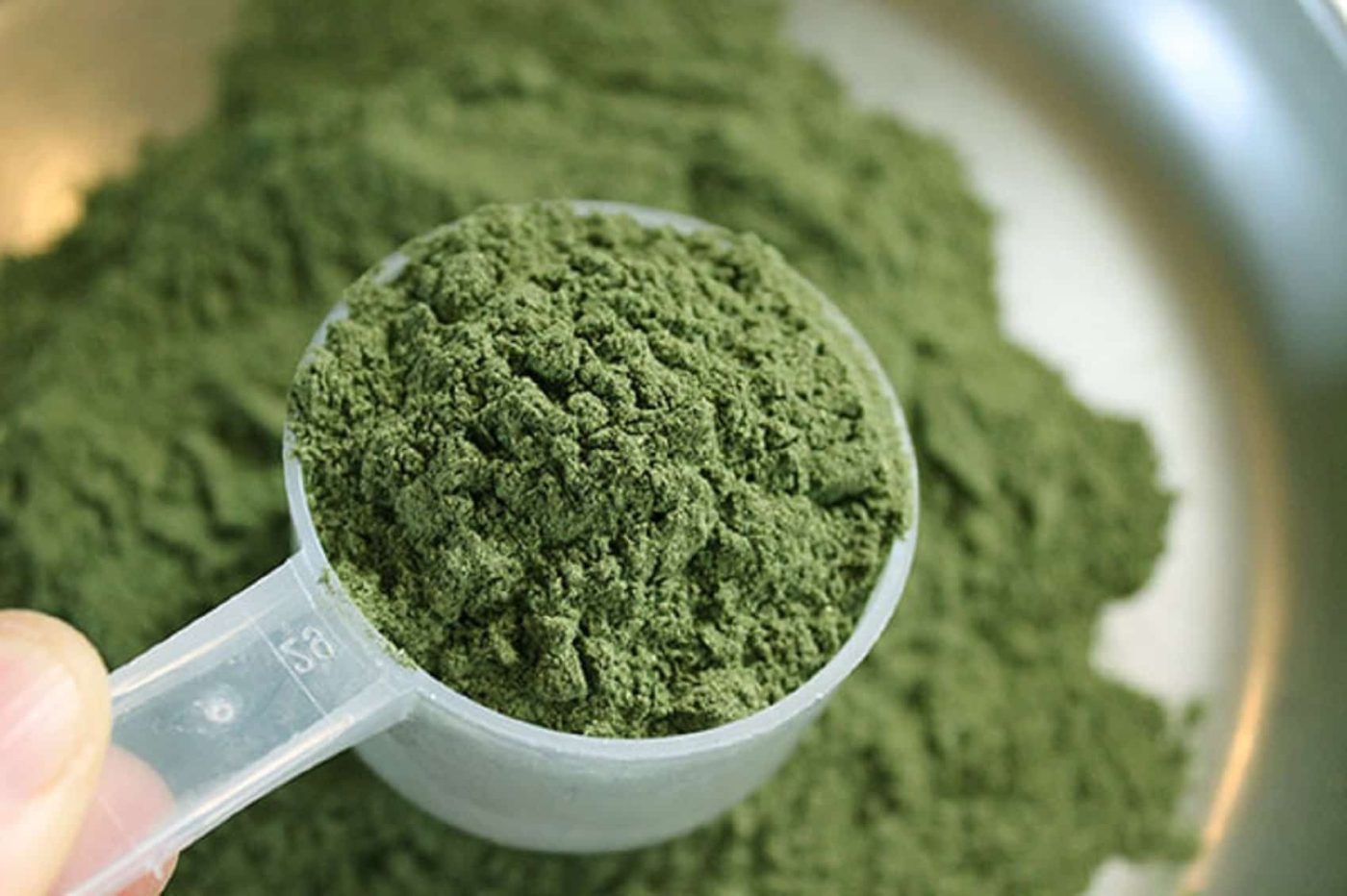 Hati-hati! Meski Bisa Jadi Obat, Daun Kratom Borneo Berpotensi Disalahgunakan Sebagai Narkoba