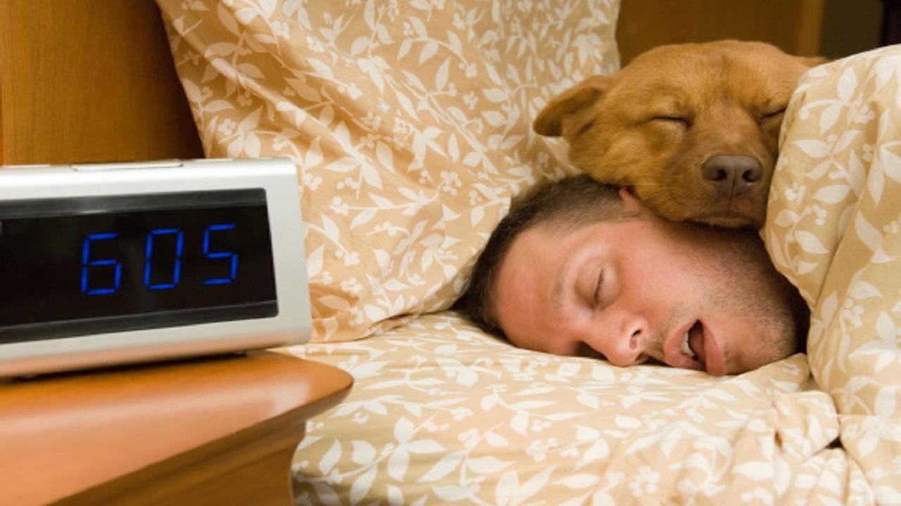 hypersomnia-mengantuk-di-siang-hari