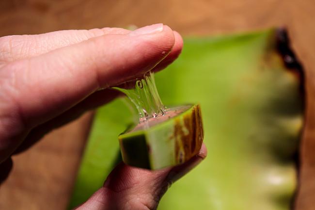 Pengertian Lendir dan Fungsi Pentingnya bagi Organ Tubuh