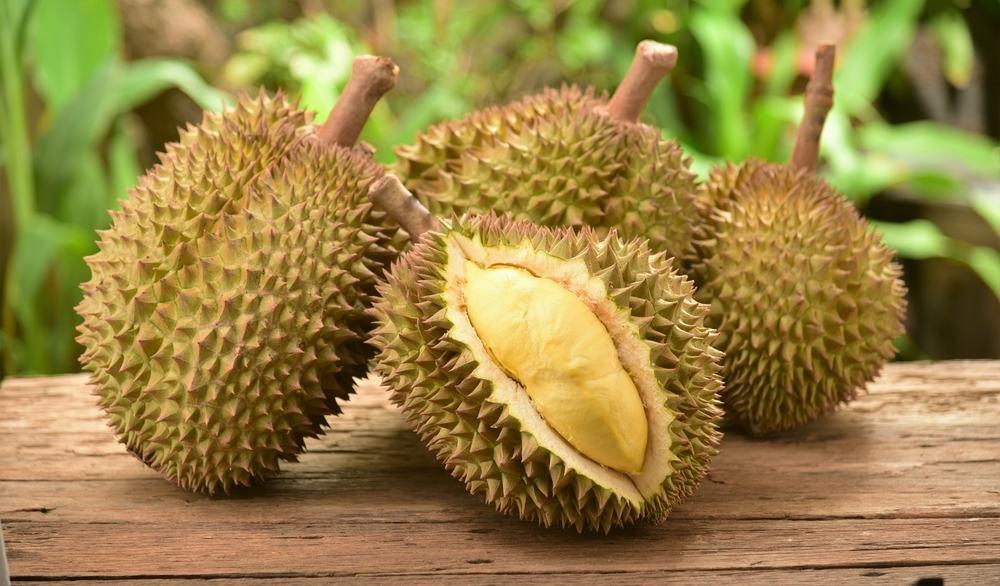 bahaya-durian-dimakan-kebanyakan